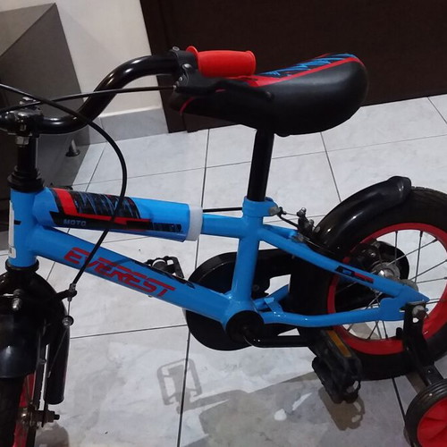Everest 12 Kids Bicycle like new, V-Brakes, male