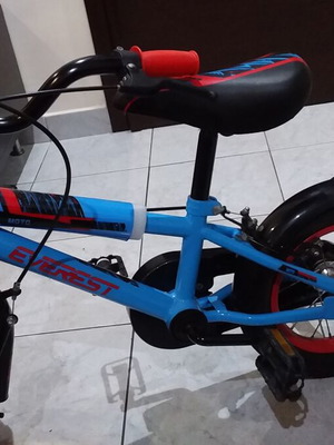 Everest 12 Kids Bicycle like new, V-Brakes, male