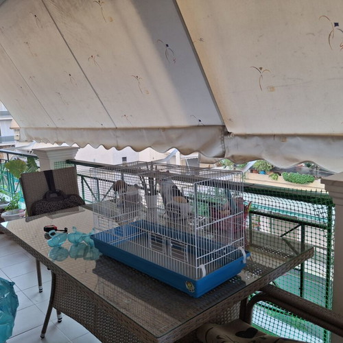 Birdcage for parakeets or small birds