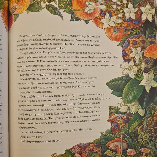 Children's book Mια Χριστουγεννιατικη Νυχτα new, Greek