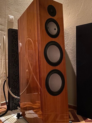 HiEnd Marten Bird speaker like new floor standing