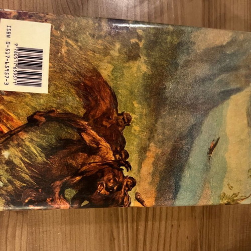 Tarzan book like new, English