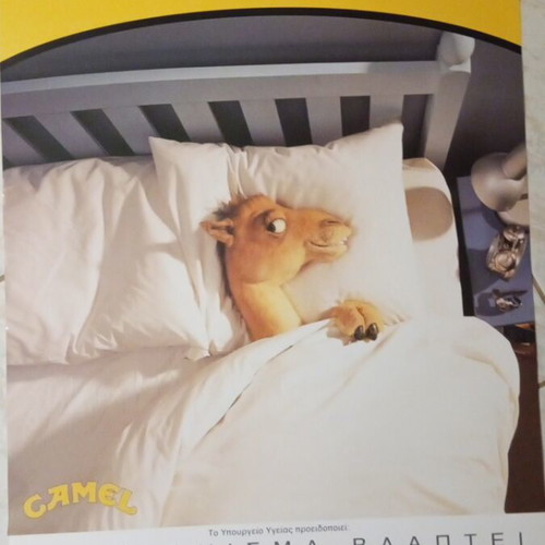 Camel Collectible Large Advertising Poster 90s, 67x47, New