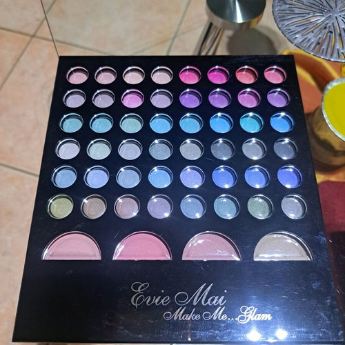Makeup set new with eyeshadows, blush and brushes