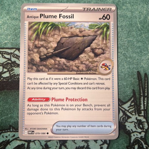 Antique Plume Fossil used