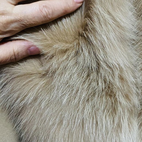 Cashmere coat like new, camel color, long with fox fur