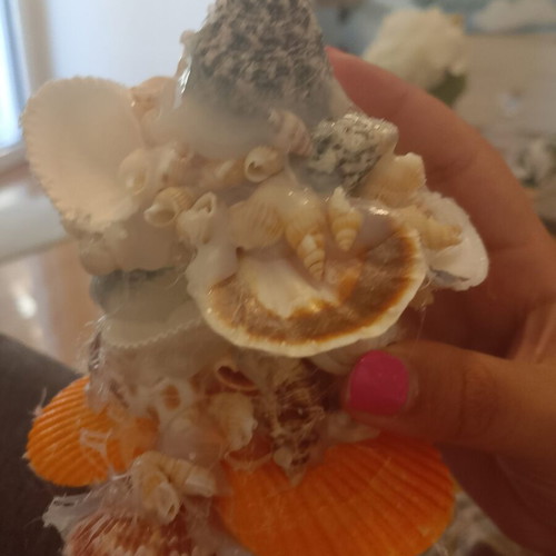 Shell jewelry stand new