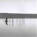  ΓΚΑΓΚΑΝ - Ο θαλασσινός που αγάπησε μια λίμνη - Μυθιστόρημα - Κωνσταντίνος Α. Δεληγιάννης -Σελ: 185