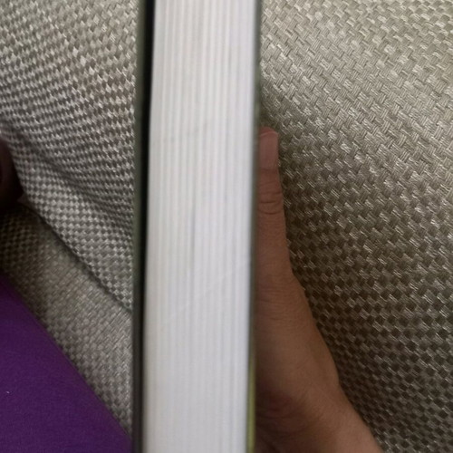 The Chronicles of Spiderwick like new, 397 pages