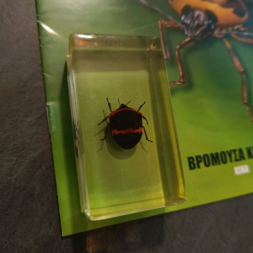 Alithina Zoyfia issue 19 used