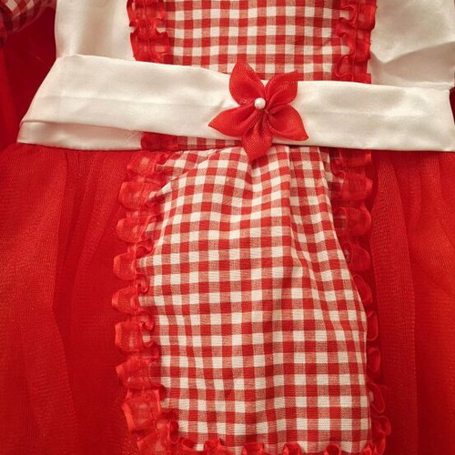 Carnival costume Red Riding Hood checked baby like new