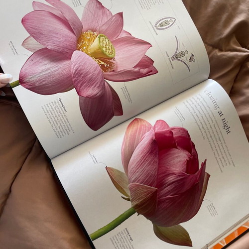 The Science of Plants book new, coffee table, English