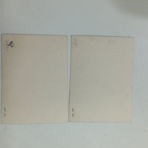 Lot of 2 old panoramic view photos in excellent condition