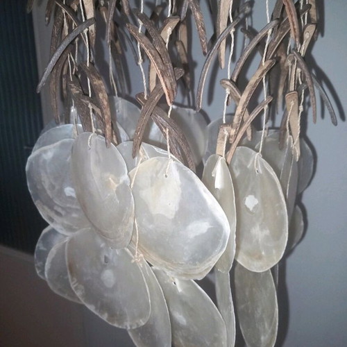 Lamp with shells like new, unused