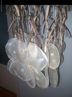 Lamp with shells like new, unused