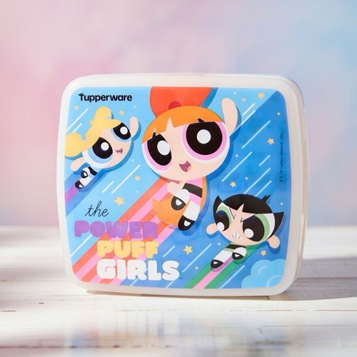 Tupperware Power Puff Girls food container new