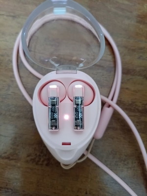 Bluetooth earbuds used