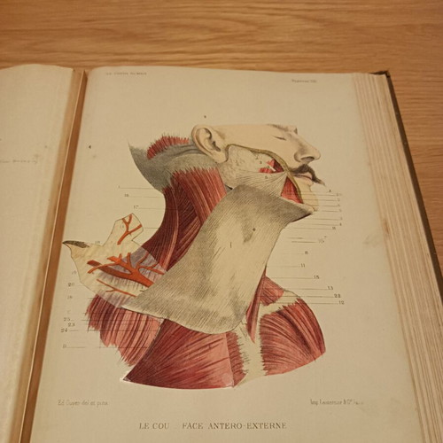 Atlas manuel d anatomie by Édouard Cuyer used, 1895 medical art book
