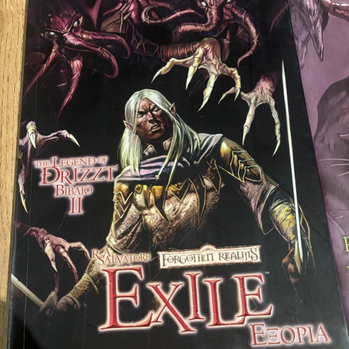 Homeland & Exile comics used, The Legend of Drizzt Graphic Novels #1 & #2