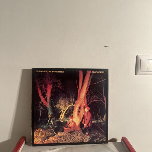 Echo & The Bunnymen Crocodiles vinyl LP used, post-punk classic 1980