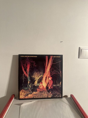 Echo & The Bunnymen Crocodiles vinyl LP used, post-punk classic 1980
