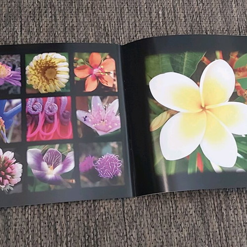 Photo albums like new, pack of 5 with flower, landscape, animal collections