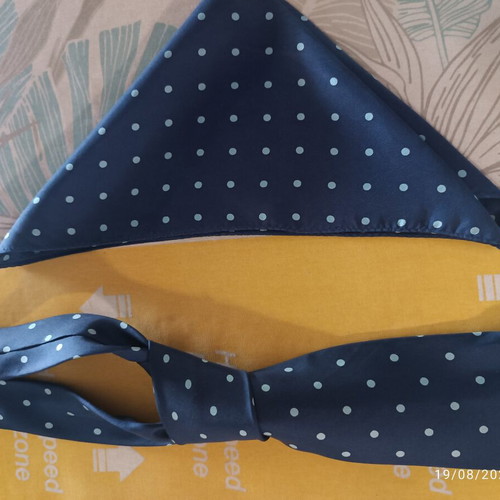 Barton MODA silk polka dot tie and matching pocket square set