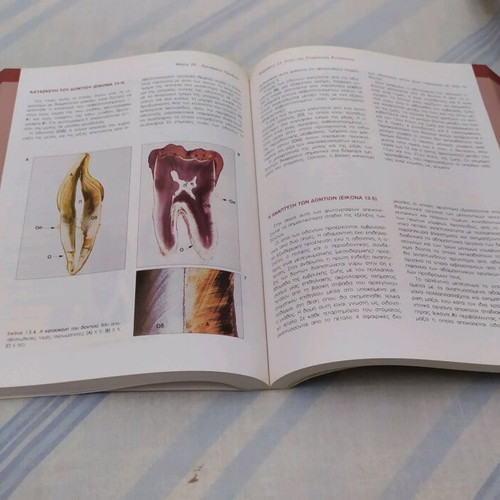Functional Histology medical book like new, 642 pages