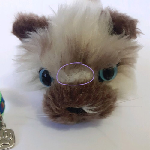 The Cat plush cat set used, two small