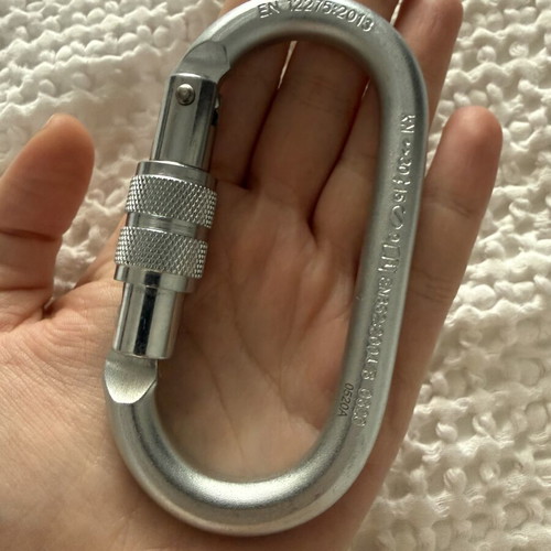 Steel Oval Pro Lock Carabiner CAMP