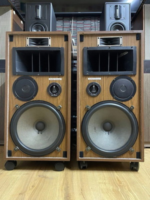Orbid Sound Super Nova 4 12” standing speakers like new
