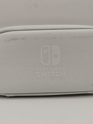 Nintendo Switch Lite hard carrying case used