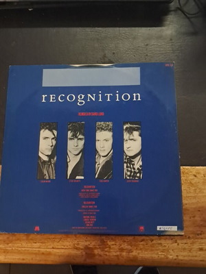 Europeans Recognition record used, good condition