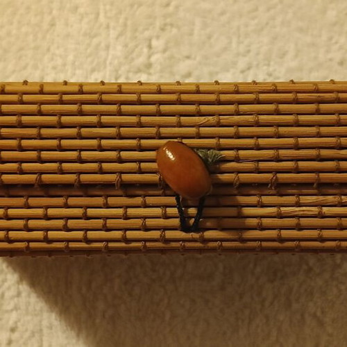 Handmade bamboo box ideal for jewelry and small items like new