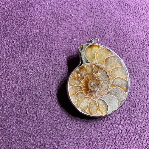 Ammonite pendant new