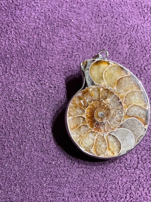 Ammonite pendant new