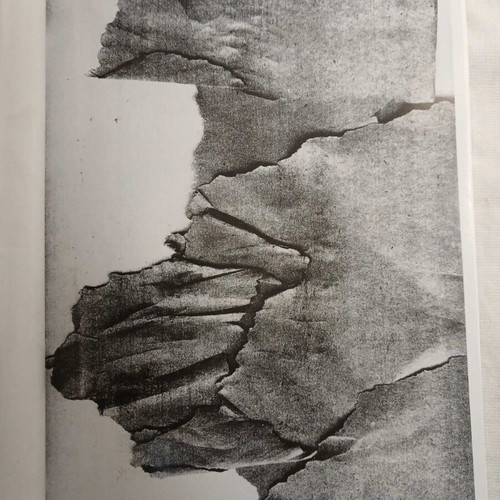 Rena Papaspirou Photocopies artist book new