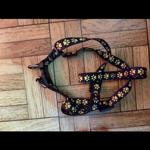 Dog harness used in good condition