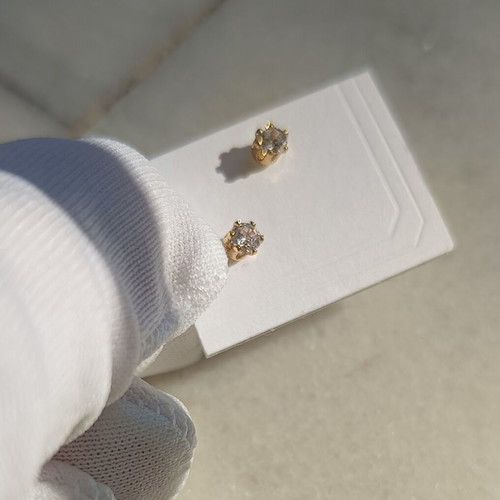 Hypoallergenic Earrings with Rose Gold Plating New