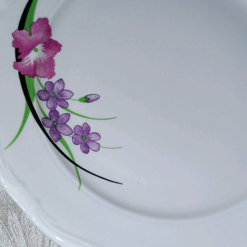 Set of 6 new Polish porcelain plates with flowers and embossed rim