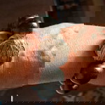  Гривна от музея Бенаки