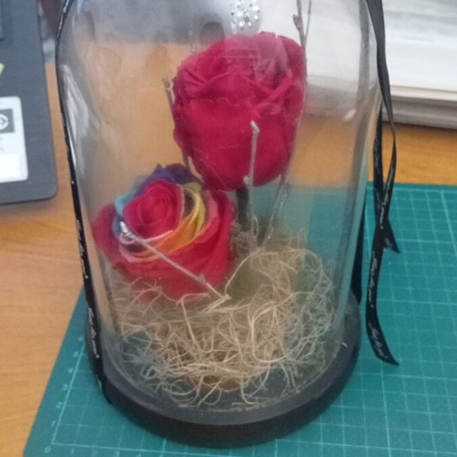 Decorative glass dome with artificial or preserved rose