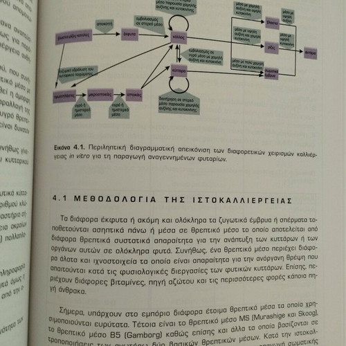 Plant biotechnology new, Polydefkis Chatzopoulos