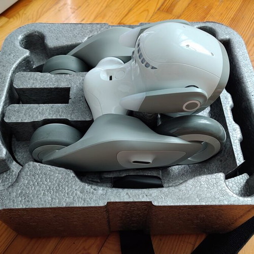 Loona AI Robot pet like new with interactive games and charging base