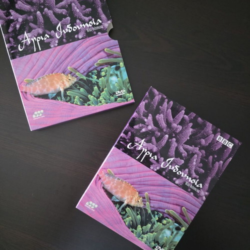 Wild Indonesia DVD BBC documentary like new with Greek subtitles
