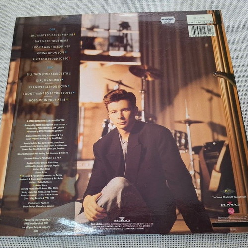 Rick Astley Hold Me In Your Arms LP like new, pop