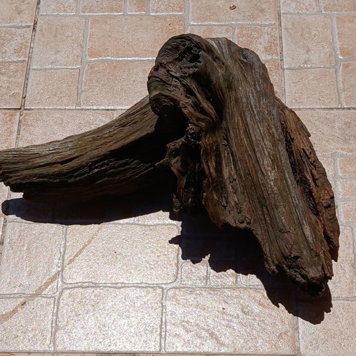 Aquarium wood decorative, used