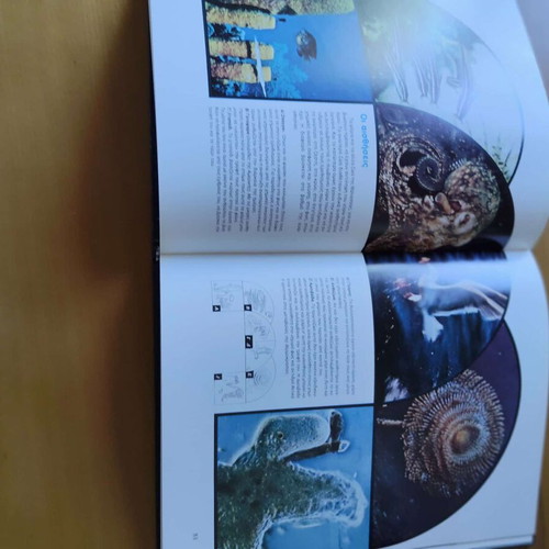 Custo Encyclopedia of Seas new, complete 20-volume set