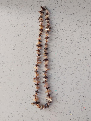 Summer necklace with shells like new