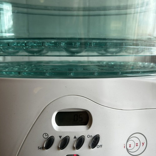 Steamy Izzy Moulinex steamer, new